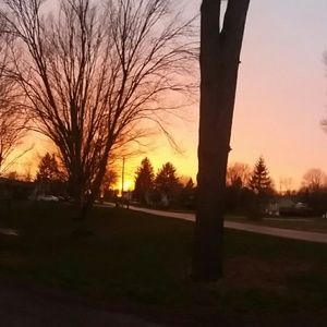 Meet your Posher, Jillian